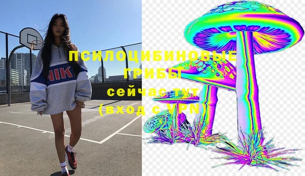 дмт Зерноград