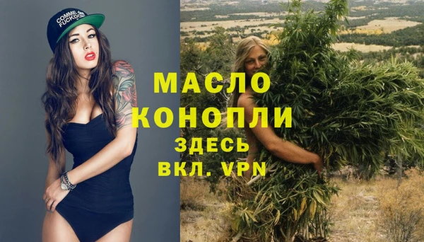 гашик Инта