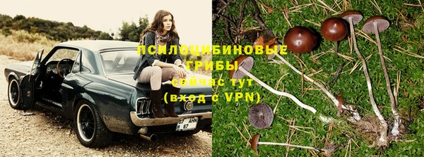 дмт Зерноград