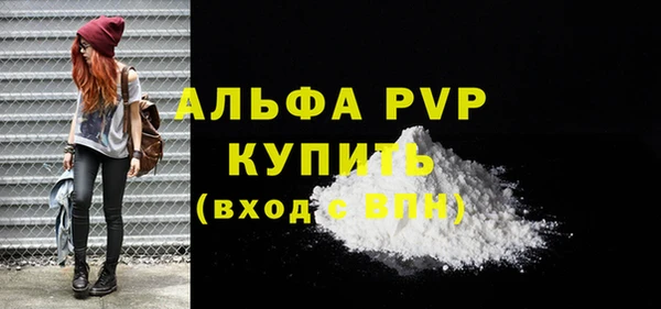 гашик Инта