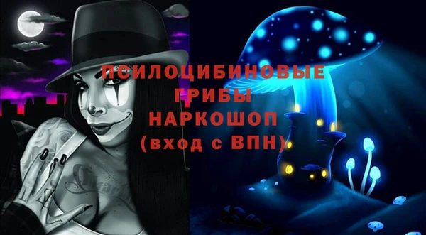стафф Зеленокумск