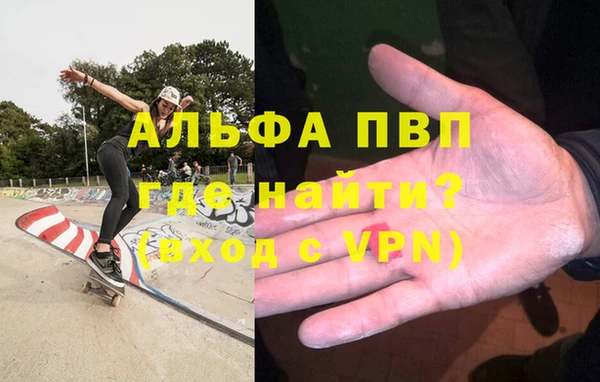 стафф Зеленокумск
