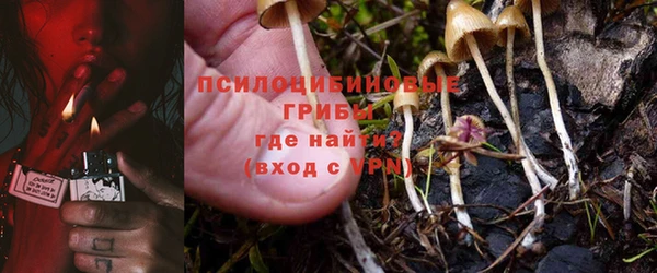 стафф Зеленокумск