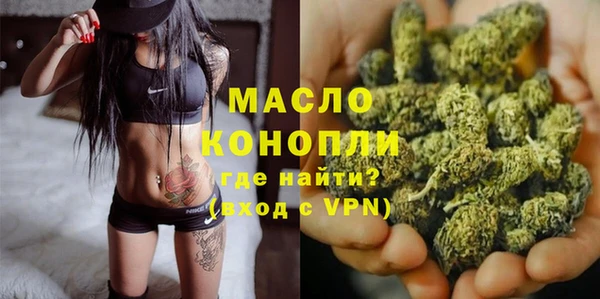 гашик Инта