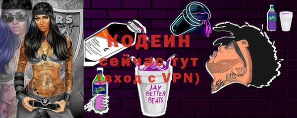 гашик Инта