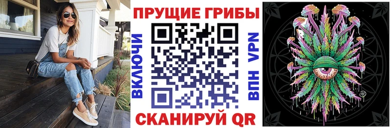 Купить  Гаврилов-Ям  Галлюциногенные грибы ЛСД 